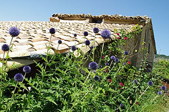 provence guesthouse